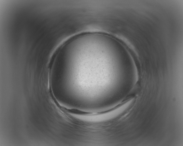 X0000083051175200702091430