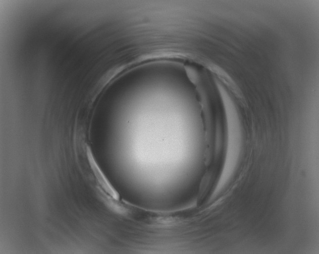 X0000083051177200702091430