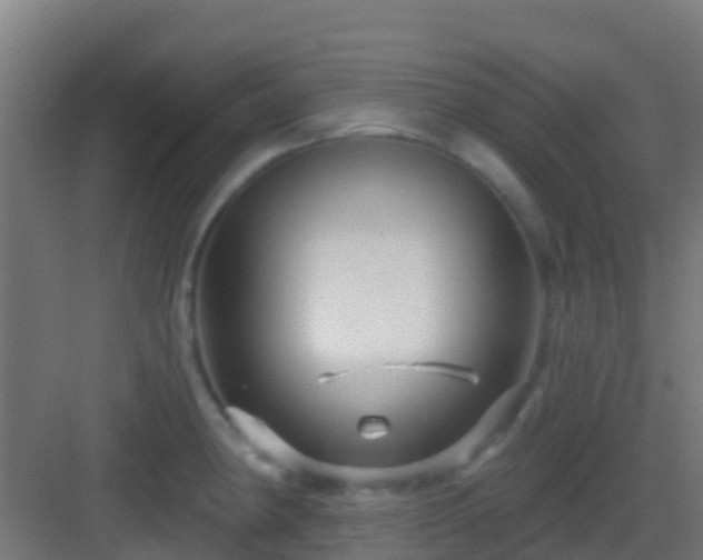 X0000083051190200702091430