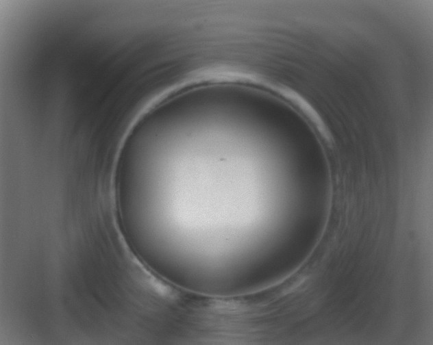 X0000083051191200702091430