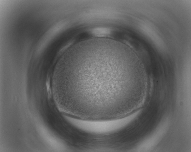 X0000083051198200702091430