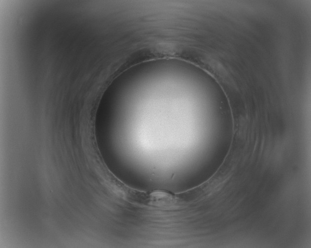 X0000083051201200702091429