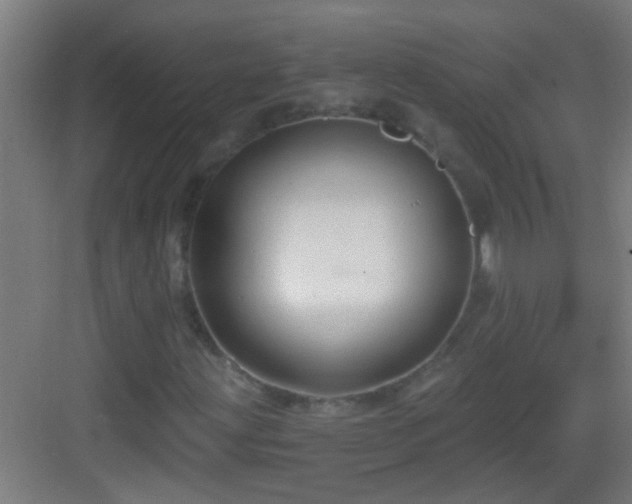 X0000083051203200702091429