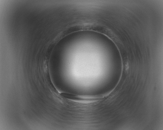 X0000083051204200702091429