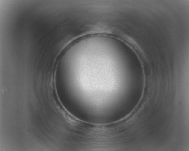 X0000083051220200702091429