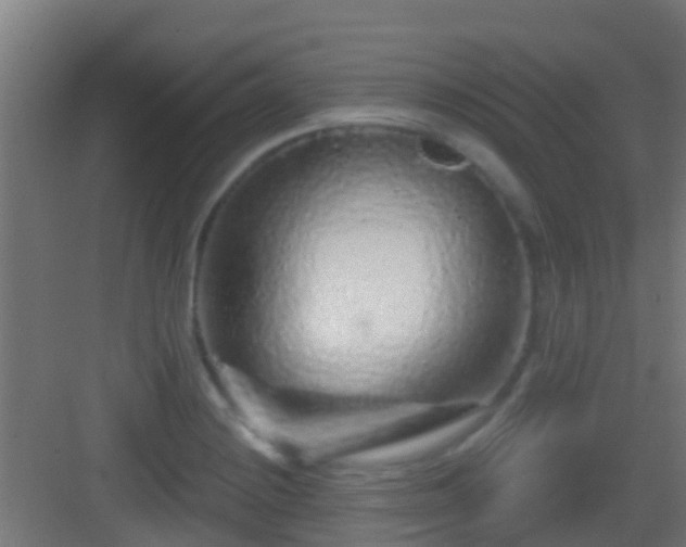 X0000083051228200702091429