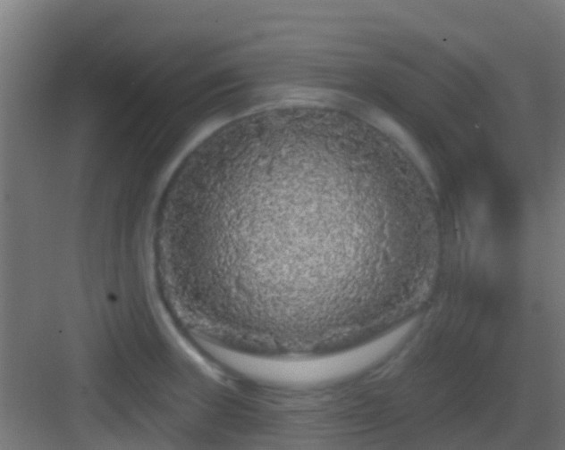 X0000083051235200702091430