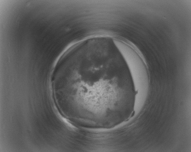 X0000083051243200702091430