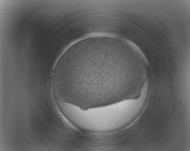 X0000083051244200702091430