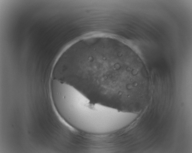 X0000083051247200702091430