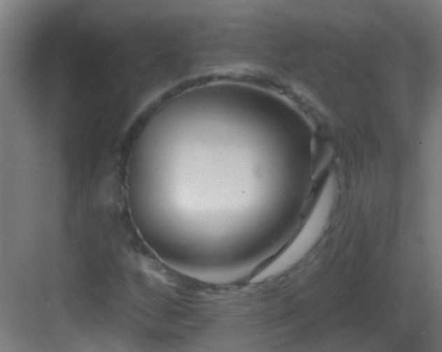 X0000083051256200702091429