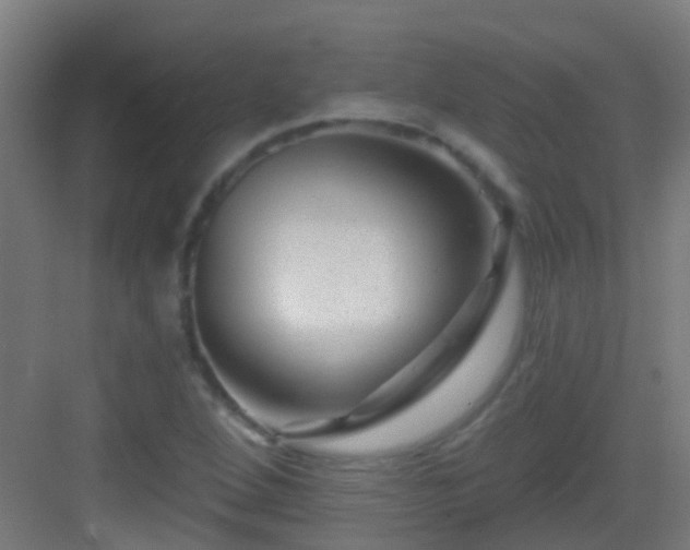 X0000083051264200702091429