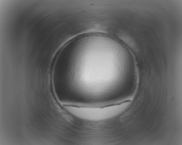 X0000083051268200702091429