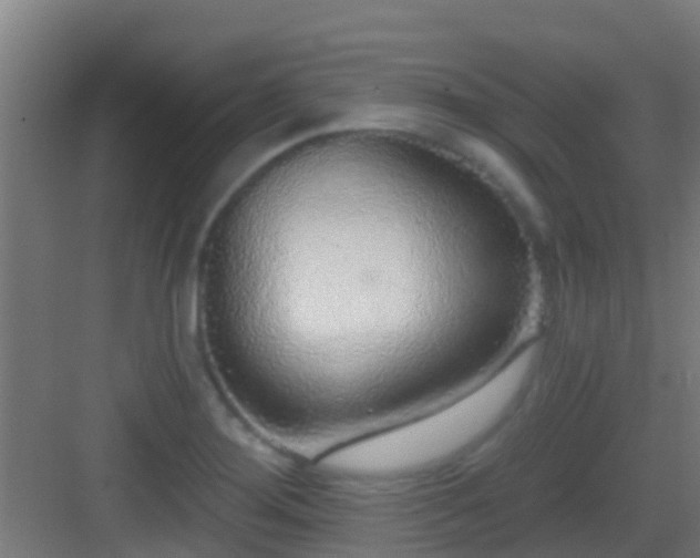 X0000083051276200702091428