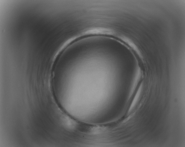 X0000083051277200702091428