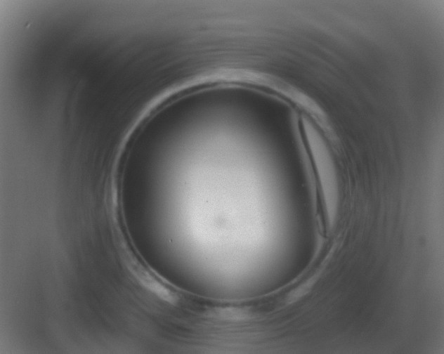 X0000083051280200702091428