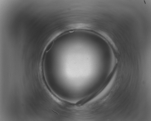 X0000083051285200702091428