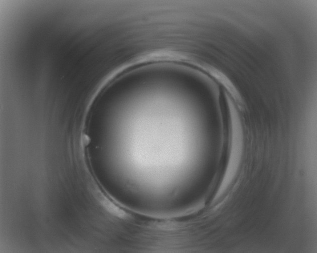 X0000083051288200702091428
