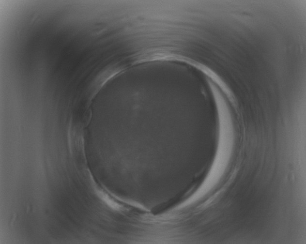 X0000083051289200702091428