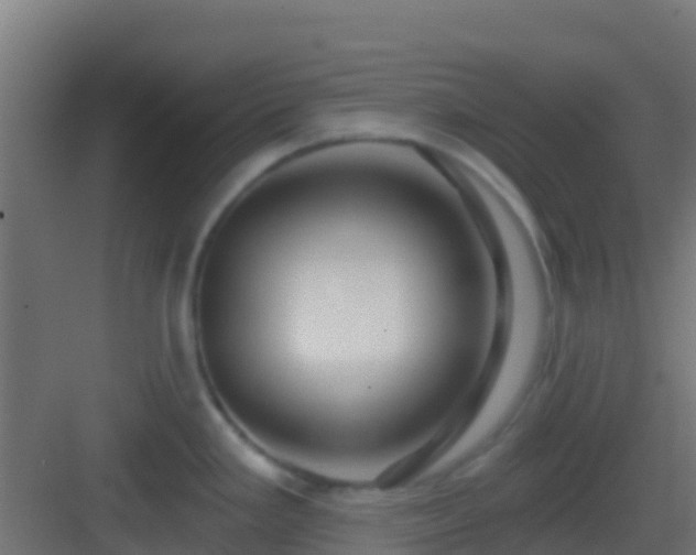 X0000083051293200702091428