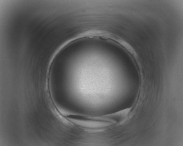 X0000083051296200702091428