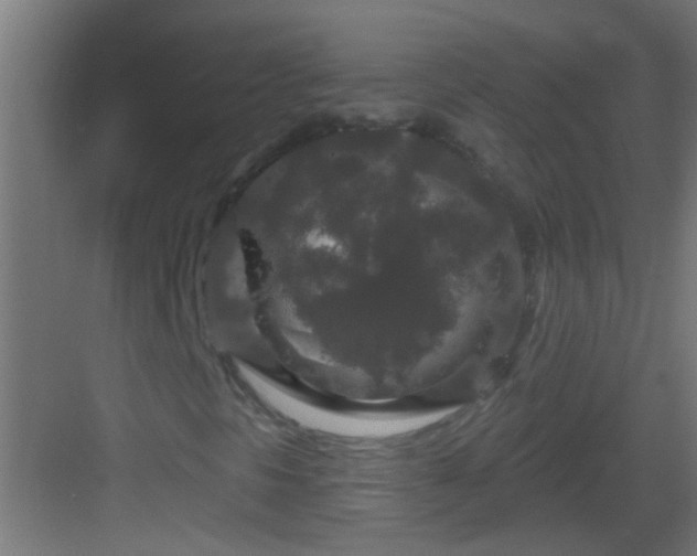X0000083051297200702091427