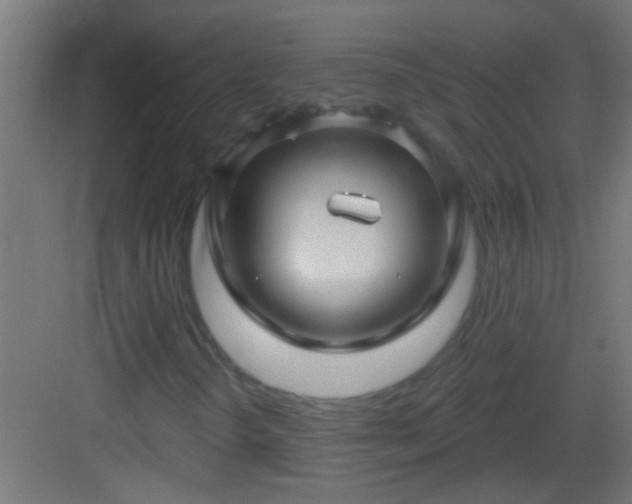 X0000083051298200702091427