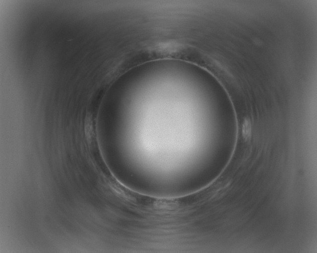X0000083051299200702091427