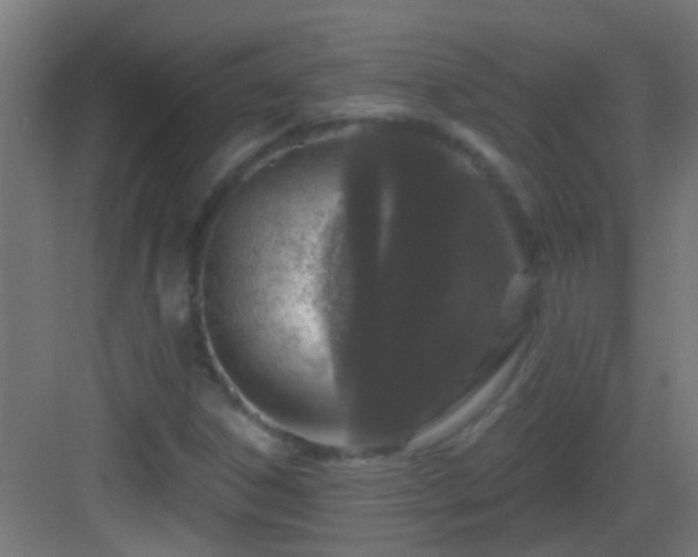 X0000083051306200702091427