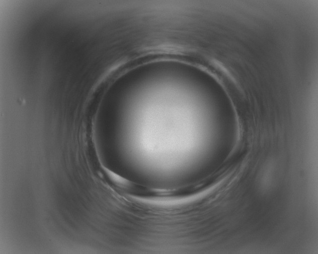 X0000083051307200702091427