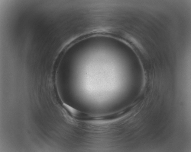 X0000083051308200702091428