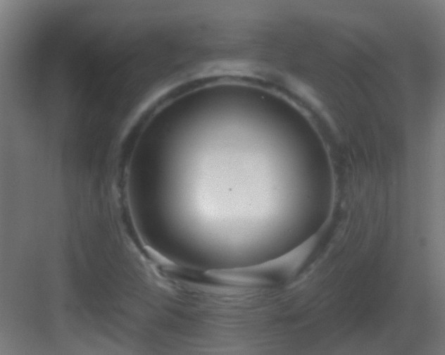 X0000083051312200702091428
