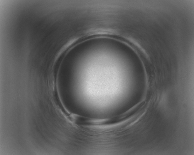 X0000083051317200702091428