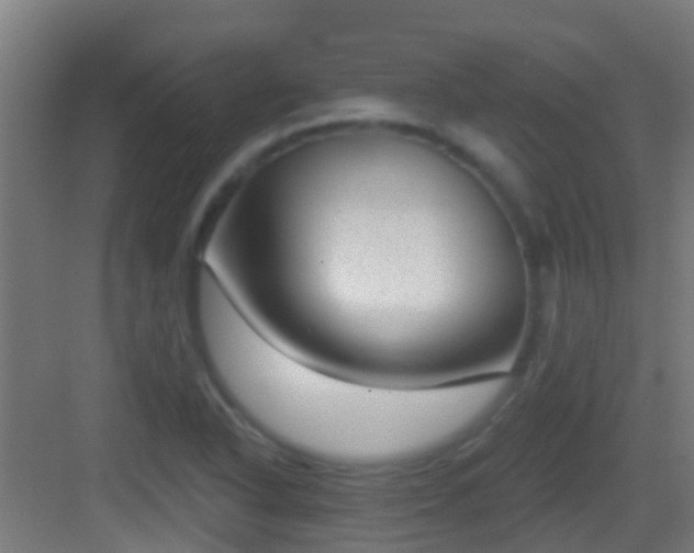 X0000083051318200702091428