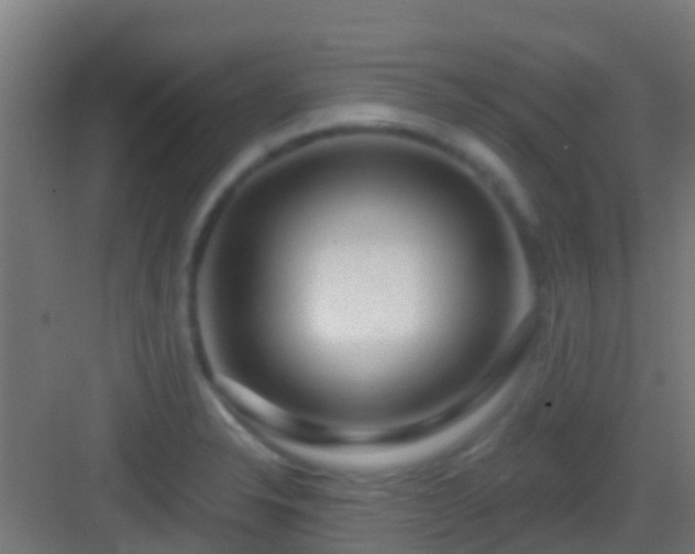X0000083051326200702091428