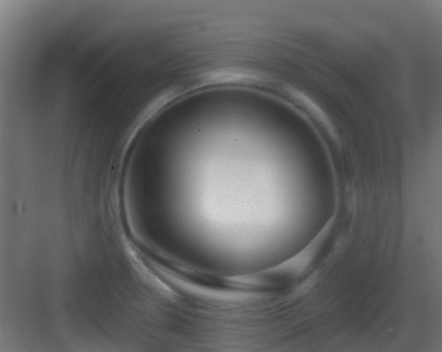 X0000083051330200702091428
