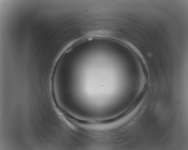 X0000083051341200702091428