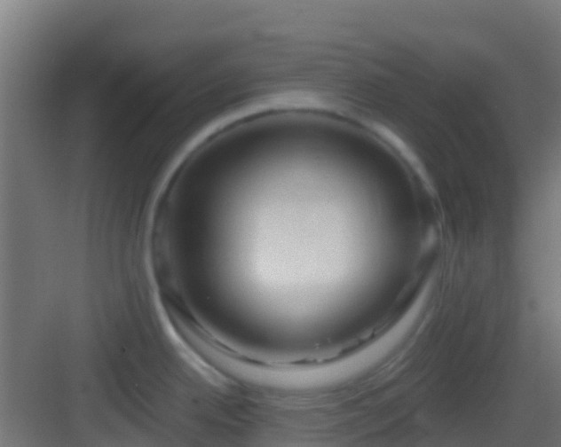 X0000083051342200702091428