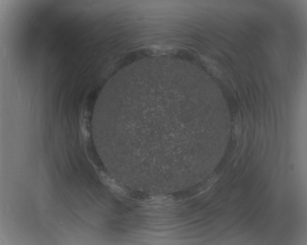 X0000083051346200702091427