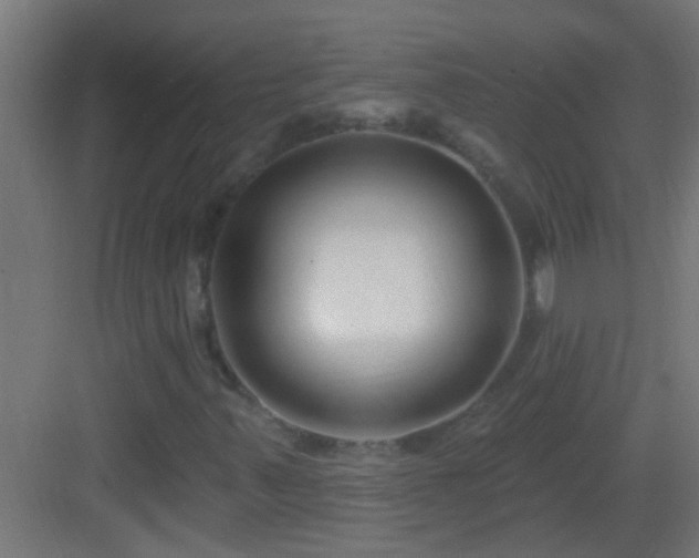 X0000083051347200702091427