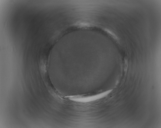X0000083051348200702091427