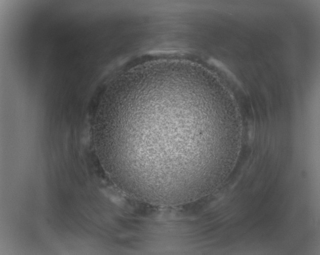 X0000083051350200702091427