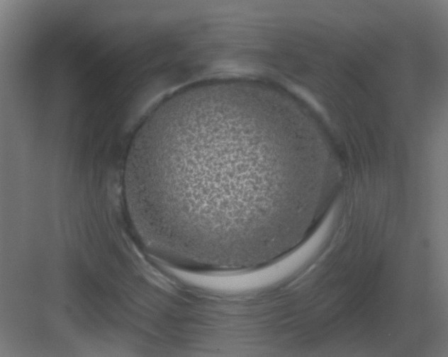 X0000083051355200702091427