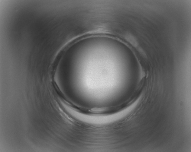 X0000083051356200702091427