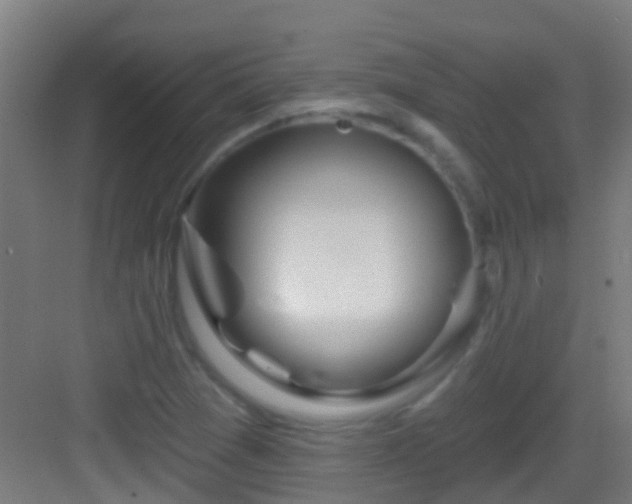 X0000083051361200702091427
