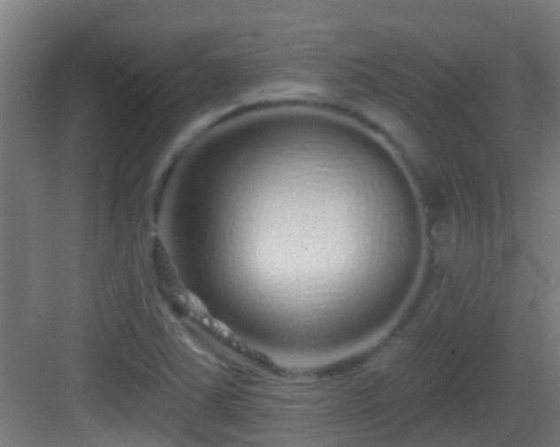 X0000083051363200702091427