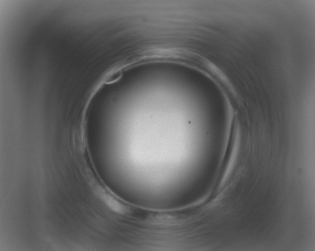 X0000083051370200702091427