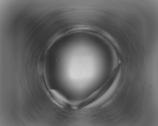 X0000083051377200702091427