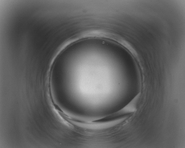 X0000083051392200702091426