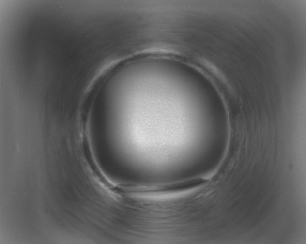 X0000083051408200702091426